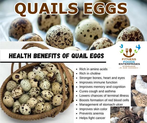 A Quick Overview of Quail Eggs