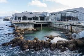 Monterey Bay Aquarium, Monterey, California