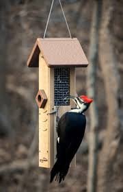 Nyjer (Thistle) Feeders