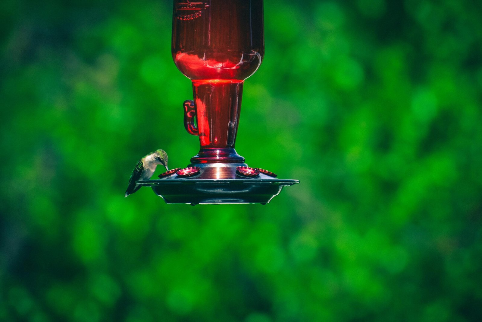 Red Glass Bottle